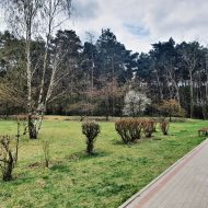 Mieszkanie 3 pokojowe na Glinkach blisko lasu