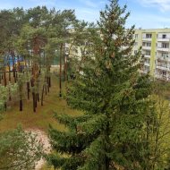 Łochowskiego, 4 pokoje