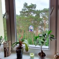 Czyżkówko, 3 pokoje, 49 m2, 3 piętro oraz garaż