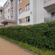 Górzyskowo, 1 piętro, 3 pokoje, m. postojowe