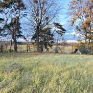 Działka na sprzedaż Lisi Ogon ulica Cicha 