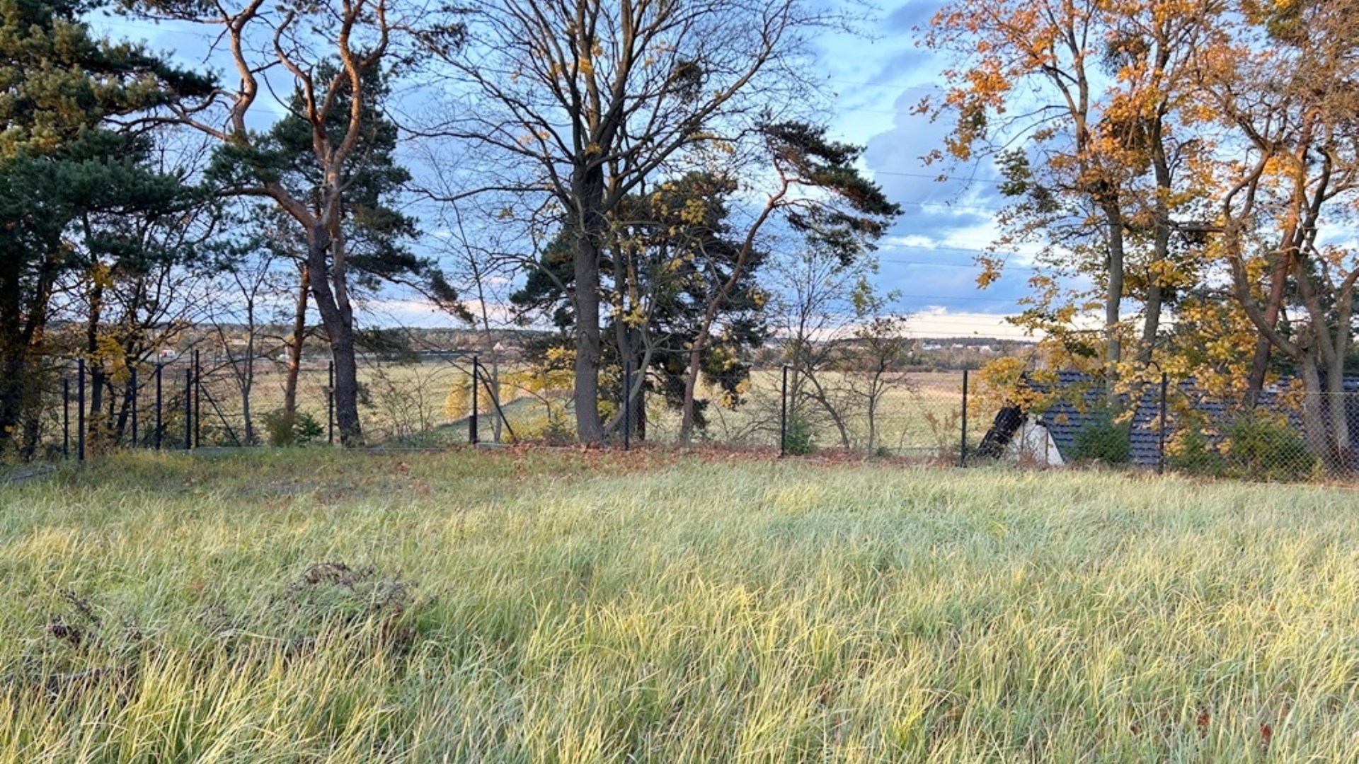 Działka na sprzedaż Lisi Ogon ulica Cicha 