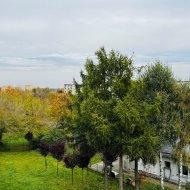 Wyżyny  3 pokoje  53m3 po remnocie 