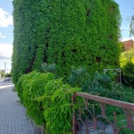  Kamienica z mieszkaniami na Szwederowie Bydgoszcz