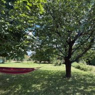 Siedlisko na sprzedaż – Włóki, gm. Dobrcz (2 ha)