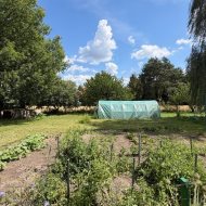 Siedlisko na sprzedaż – Włóki, gm. Dobrcz (2 ha)