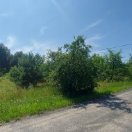 Działka 3100 m² z WZ | Janowo | Droga gminna