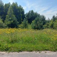 Działka 3100 m² z WZ | Janowo | Droga gminna