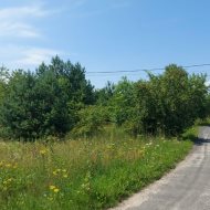Działka 3100 m² z WZ | Janowo | Droga gminna