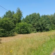 Działka 3100 m² z WZ | Janowo | Droga gminna